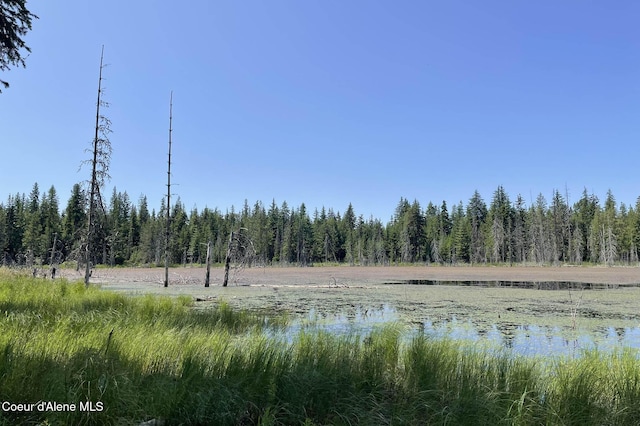 601 Coyote Trl, Sandpoint, ID 83864