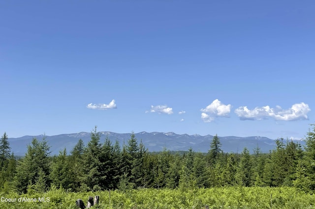 601 Coyote Trl, Sandpoint, ID 83864