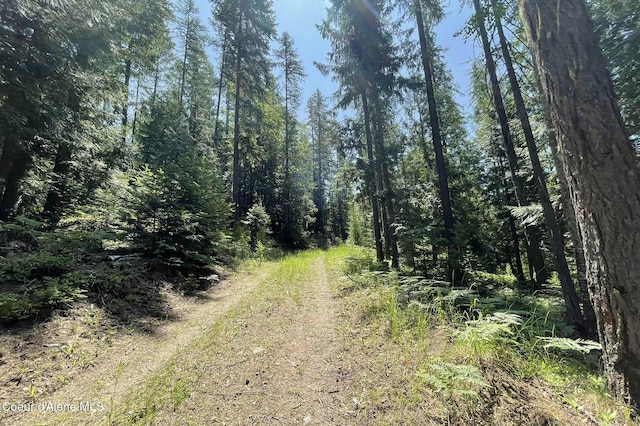 601 Coyote Trl, Sandpoint, ID 83864