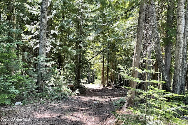 601 Coyote Trl, Sandpoint, ID 83864