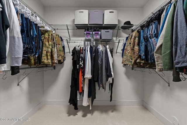 3811 N Foxtail Rd, Post Falls, ID 83854 - view of spacious closet