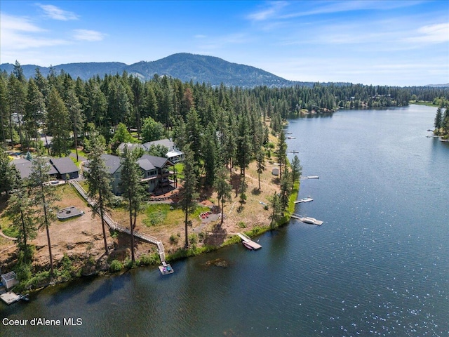 11667 N Eastshore Dr, Hayden, ID 83835 - bird's eye view of a heavily wooded area and a water and mountain view