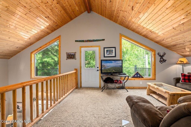 20264 Coeur Dalene River Rd, Kingston, ID 83839 - living room with carpet flooring, lofted ceiling, healthy amount of natural light, and wooden ceiling