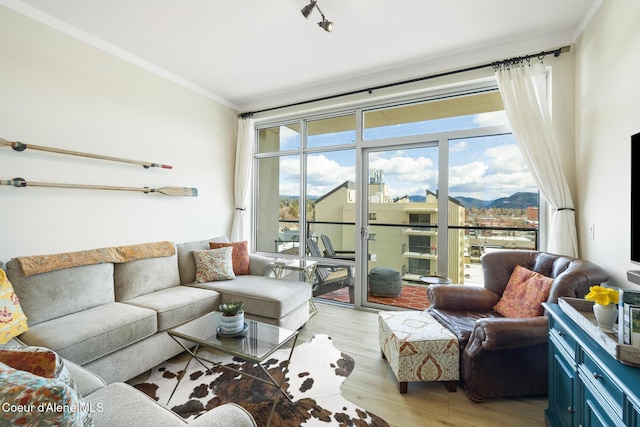 201 N 1st St # 1006, Coeur Dalene, ID 83814 - living area featuring ornamental molding, light wood-style floors, and plenty of natural light