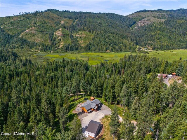 21807 E Doyle Rd, Cataldo, ID 83810 - photo 11