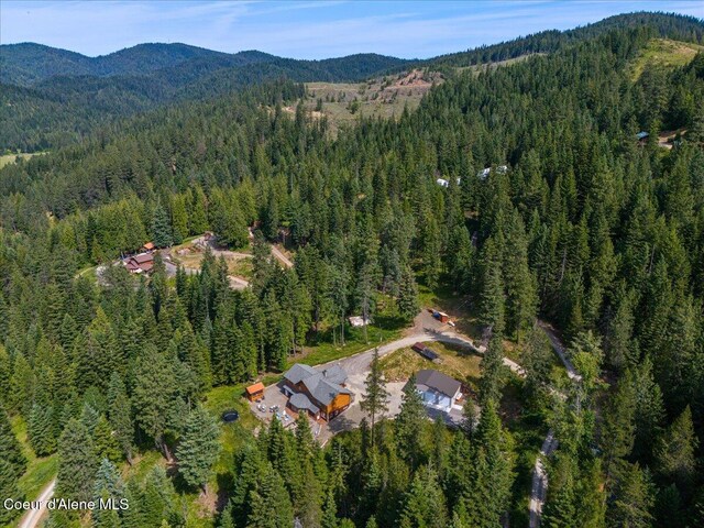 21807 E Doyle Rd, Cataldo, ID 83810 - photo 68