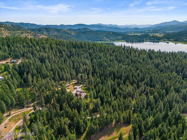 21807 E Doyle Rd, Cataldo, ID 83810 - photo 69