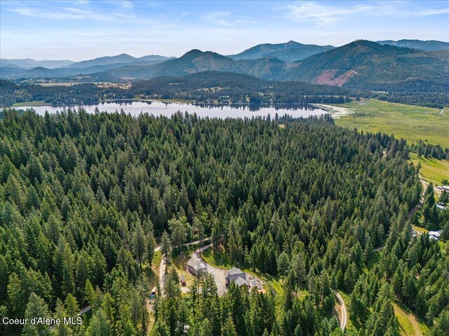 21807 E Doyle Rd, Cataldo, ID 83810 - photo 82