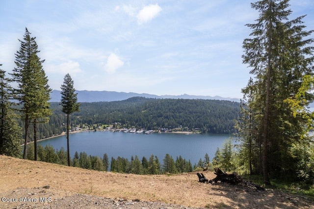 NNA Midas Dr., Sagle, ID 83860