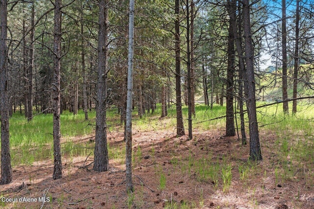 TBD Frosty Pines Trail 5A#1, Coeur D'Alene, ID 83814