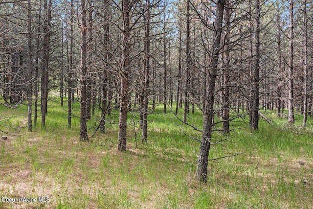 TBD Frosty Pines Trail 5A#1, Coeur D'Alene, ID 83814