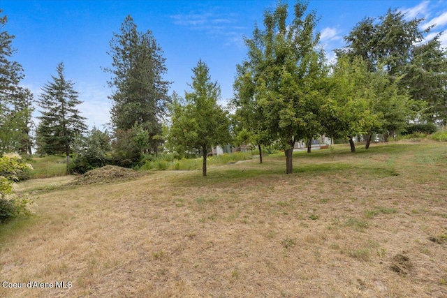 14250 W Sunmeadow Rd, Worley, ID 83876 - view of grassy yard