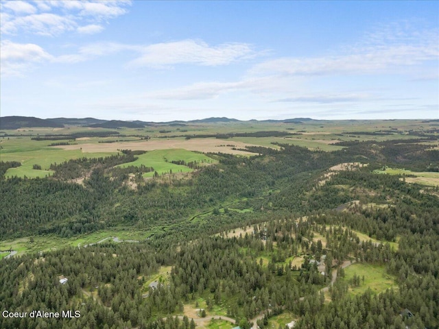 14250 W Sunmeadow Rd, Worley, ID 83876 - view of property location with a mountain backdrop