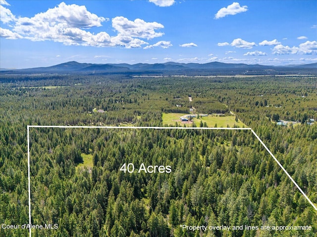 28801 N Lewellen Creek Rd, Athol, ID 83801