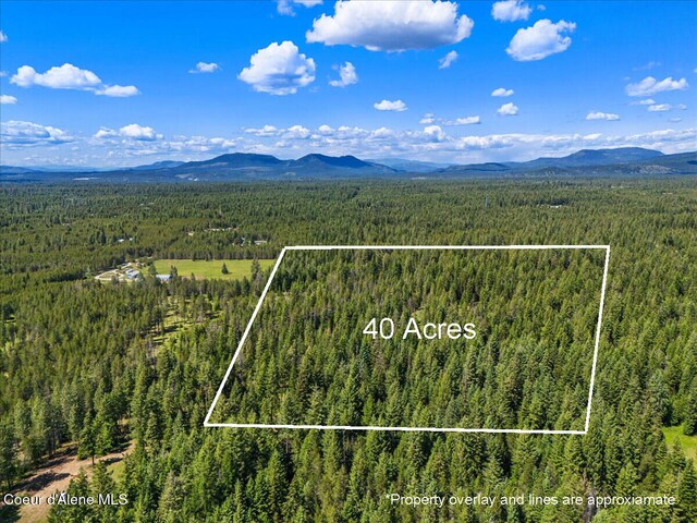 28801 N Lewellen Creek Rd, Athol, ID 83801