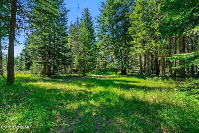 28801 N Lewellen Creek Rd, Athol, ID 83801