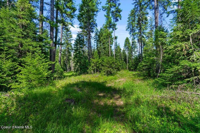 28801 N Lewellen Creek Rd, Athol, ID 83801