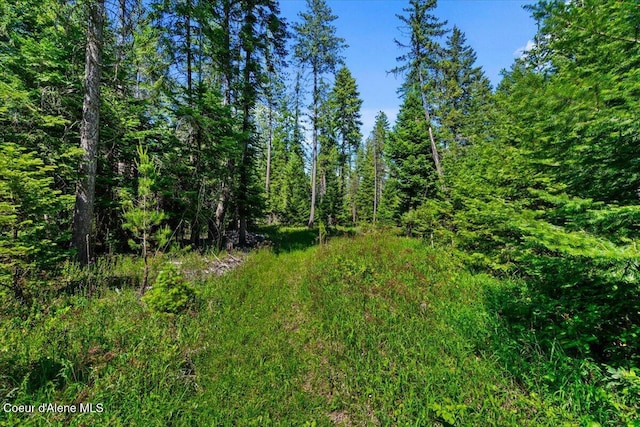 28801 N Lewellen Creek Rd, Athol, ID 83801