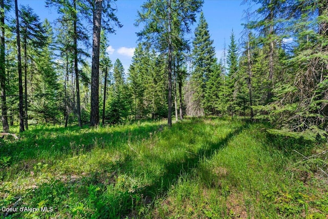 28801 N Lewellen Creek Rd, Athol, ID 83801