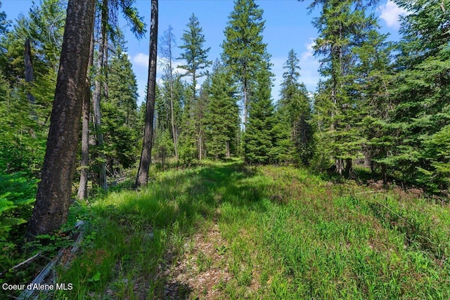 28801 N Lewellen Creek Rd, Athol, ID 83801