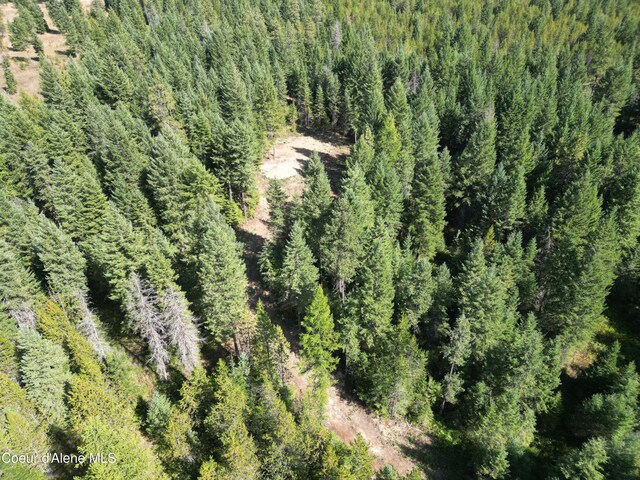 LOT3 Werre Rd, Rathdrum, ID 83858 - aerial view of a heavily wooded area