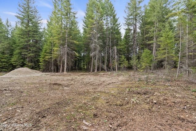 LOT3 Werre Rd, Rathdrum, ID 83858 - view of wooded area