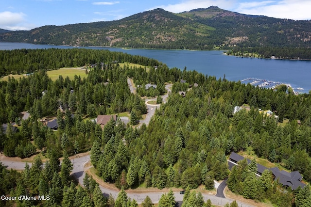 NKA Price Ave, Priest River, ID 83856