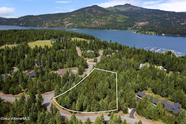 NKA Price Ave, Priest River, ID 83856