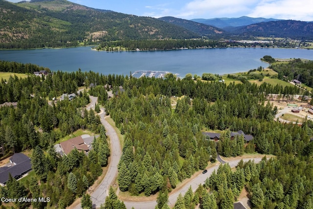 NKA Price Ave, Priest River, ID 83856