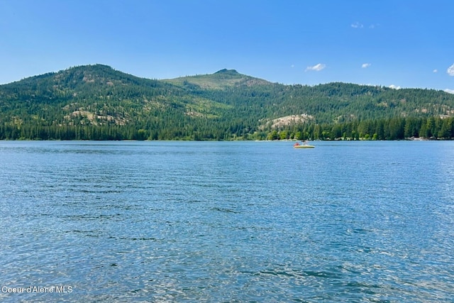 NKA Price Ave, Priest River, ID 83856