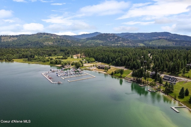 NKA Price Ave, Priest River, ID 83856