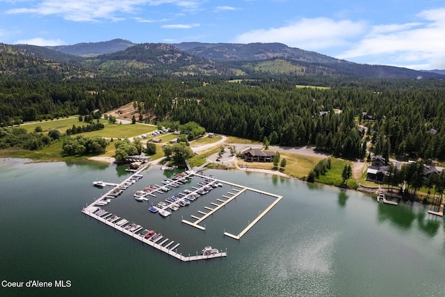 NKA Price Ave, Priest River, ID 83856