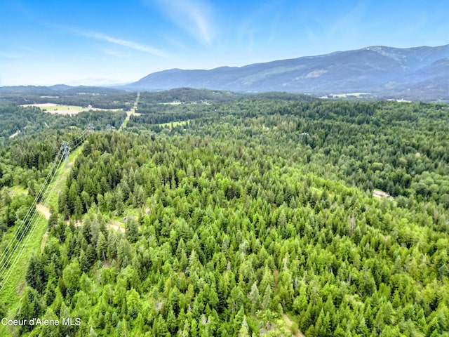 2489 N Center Valley Rd, Sandpoint, ID 83864 - photo 6