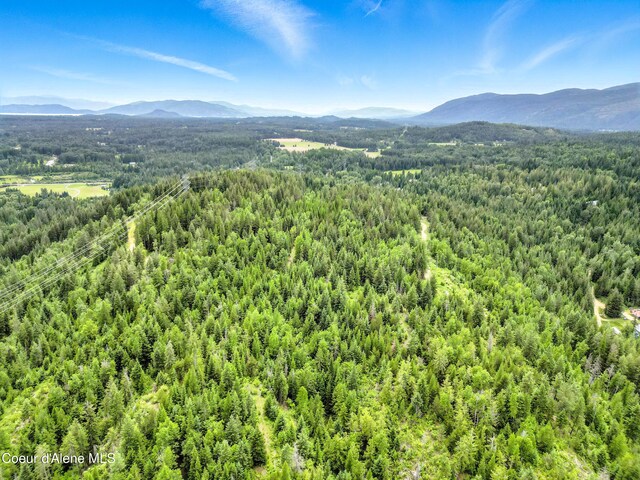 2489 N Center Valley Rd, Sandpoint, ID 83864 - photo 11