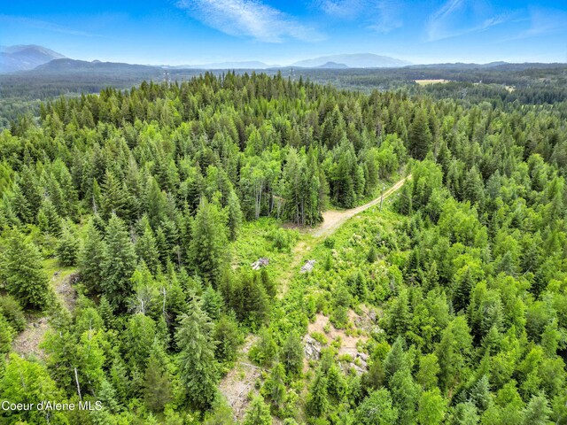 2489 N Center Valley Rd, Sandpoint, ID 83864 - photo 13
