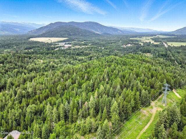 2489 N Center Valley Rd, Sandpoint, ID 83864 - photo 14