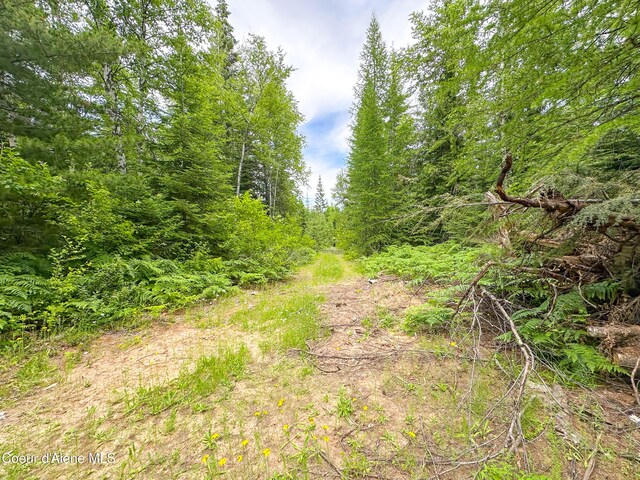 2489 N Center Valley Rd, Sandpoint, ID 83864 - photo 12
