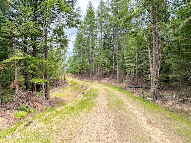 2489 N Center Valley Rd, Sandpoint, ID 83864 - photo 17