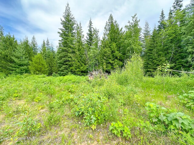 2489 N Center Valley Rd, Sandpoint, ID 83864 - photo 18