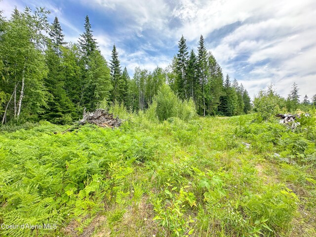 2489 N Center Valley Rd, Sandpoint, ID 83864 - photo 19