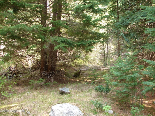 NNA S Smith Creek Rd, Bonners Ferry, ID 83805