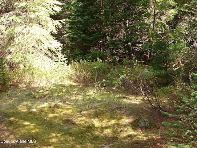 NNA S Smith Creek Rd, Bonners Ferry, ID 83805