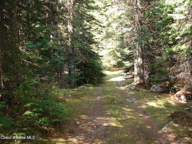 NNA S Smith Creek Rd, Bonners Ferry, ID 83805
