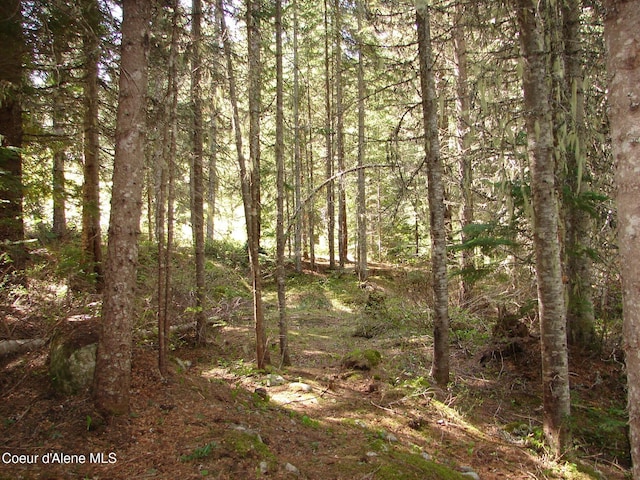 NNA S Smith Creek Rd, Bonners Ferry, ID 83805