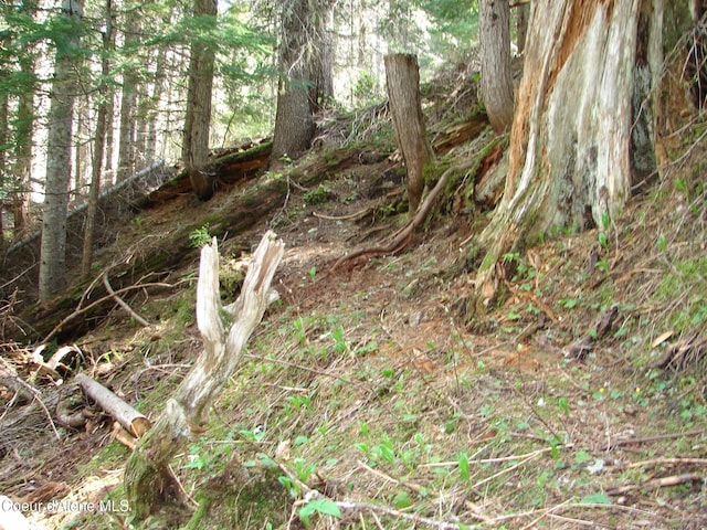 NNA S Smith Creek Rd, Bonners Ferry, ID 83805