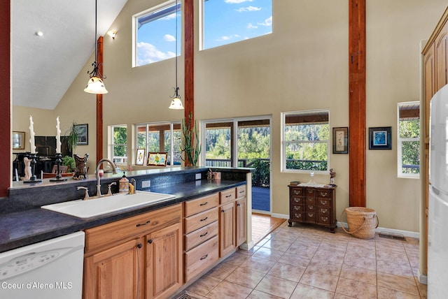 1600 Shepherd Rd, Saint Maries, ID 83861 - kitchen featuring white dishwasher, a towering ceiling, dark countertops, and plenty of natural light