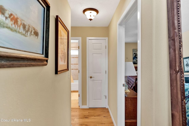 1600 Shepherd Rd, Saint Maries, ID 83861 - hallway with light wood finished floors and baseboards