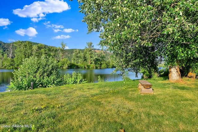 1600 Shepherd Rd, Saint Maries, ID 83861 - water view featuring a heavily wooded area