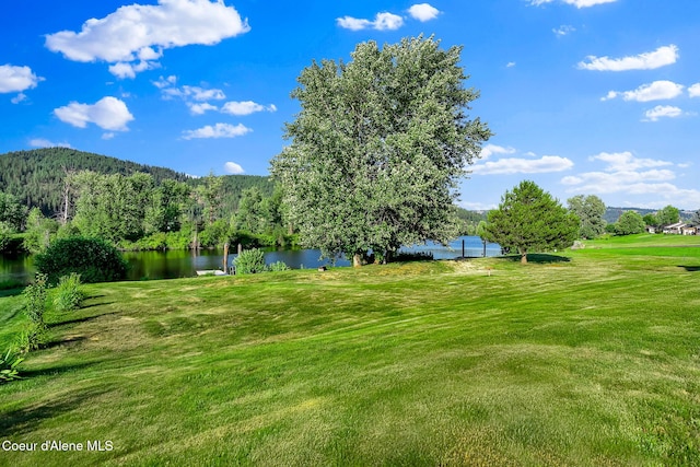 1600 Shepherd Rd, Saint Maries, ID 83861 - view of green lawn featuring a water view and a forest view