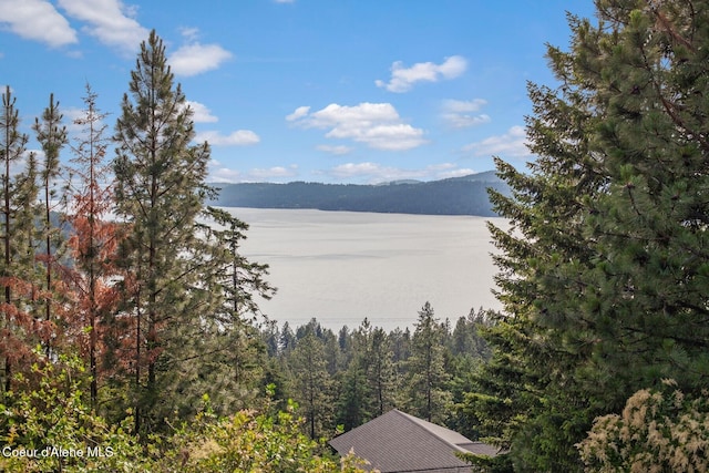 L2B2 S Hanson Rd, Harrison, ID 83833